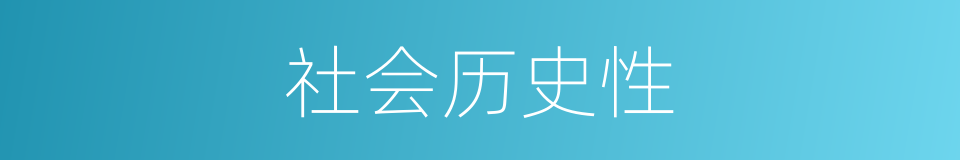 社会历史性的同义词