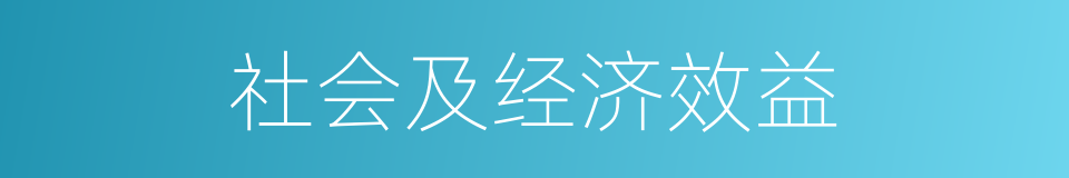 社会及经济效益的同义词