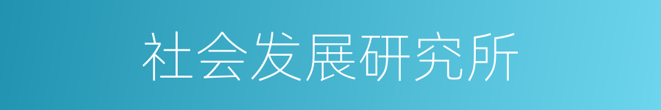 社会发展研究所的同义词