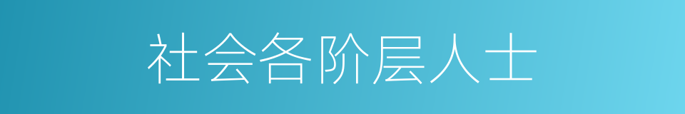 社会各阶层人士的同义词