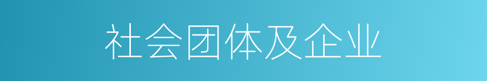 社会团体及企业的同义词