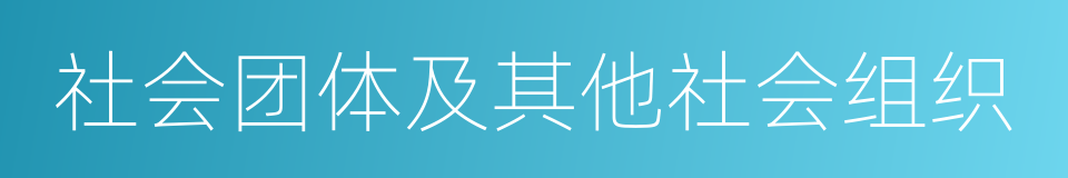 社会团体及其他社会组织的同义词