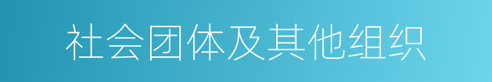 社会团体及其他组织的同义词