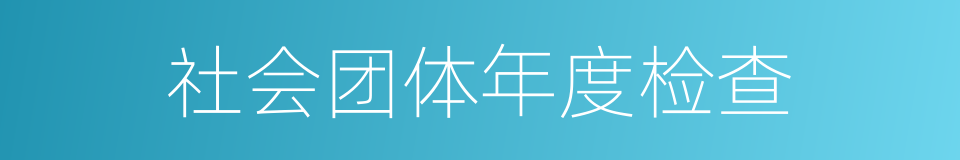 社会团体年度检查的同义词
