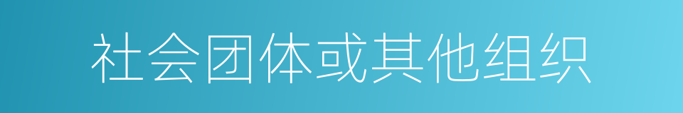 社会团体或其他组织的同义词