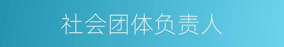 社会团体负责人的同义词