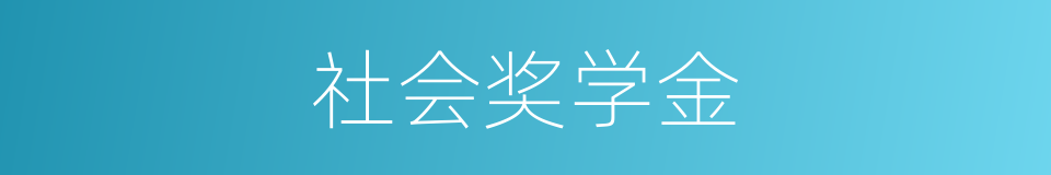 社会奖学金的同义词