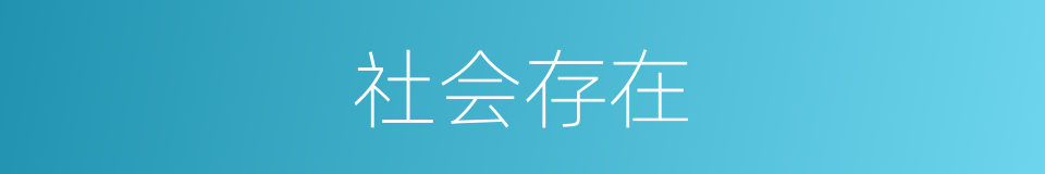 社会存在的意思