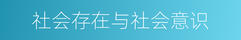 社会存在与社会意识的同义词