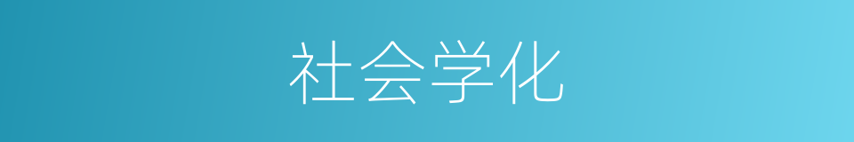 社会学化的意思