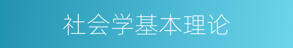 社会学基本理论的同义词