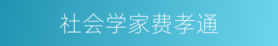 社会学家费孝通的同义词