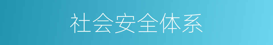 社会安全体系的同义词