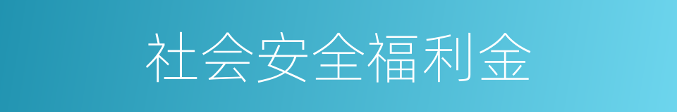 社会安全福利金的同义词