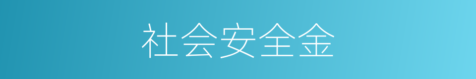 社会安全金的同义词