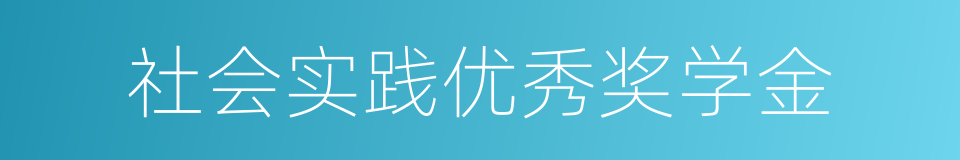 社会实践优秀奖学金的同义词