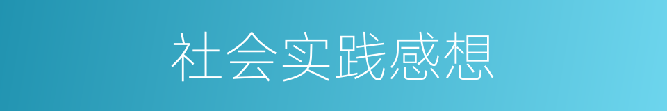 社会实践感想的同义词