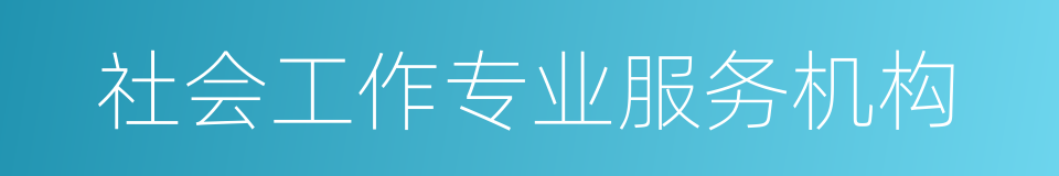 社会工作专业服务机构的同义词