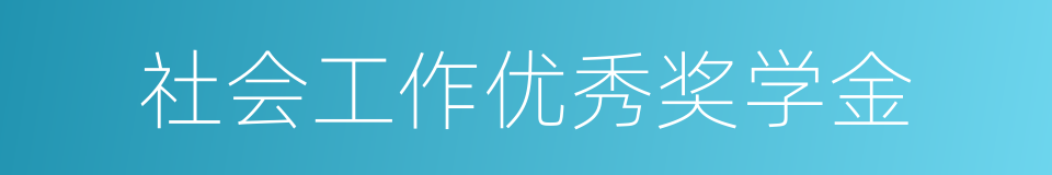 社会工作优秀奖学金的同义词