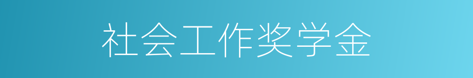 社会工作奖学金的同义词