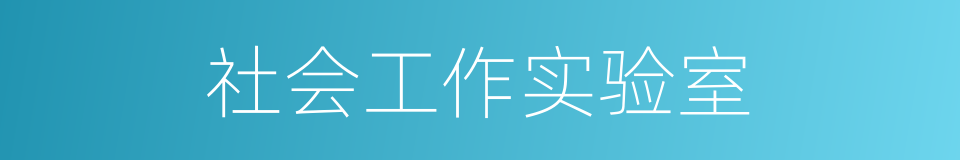 社会工作实验室的同义词