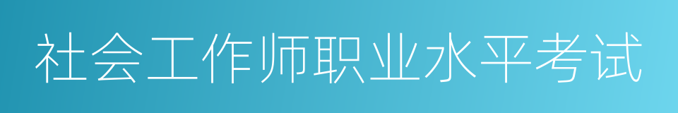 社会工作师职业水平考试的同义词