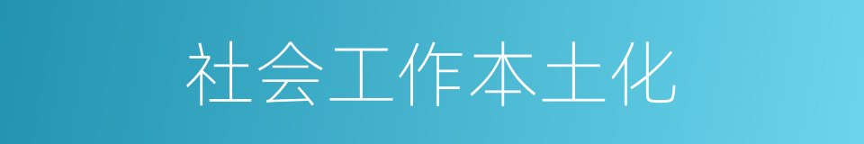 社会工作本土化的同义词