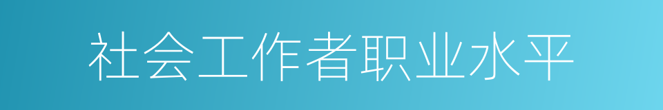 社会工作者职业水平的同义词