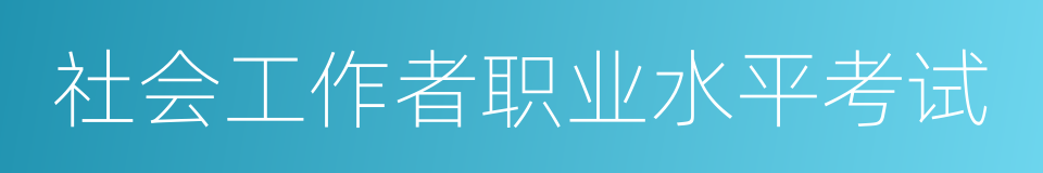 社会工作者职业水平考试的同义词