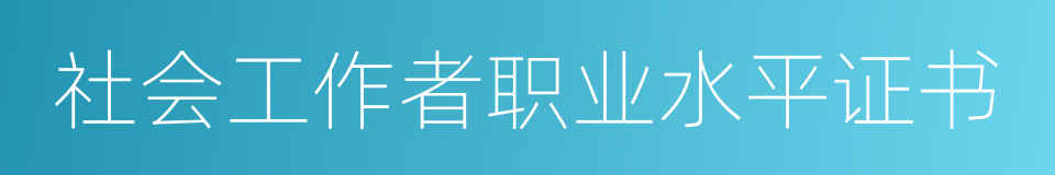 社会工作者职业水平证书的同义词