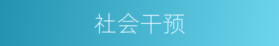 社会干预的同义词