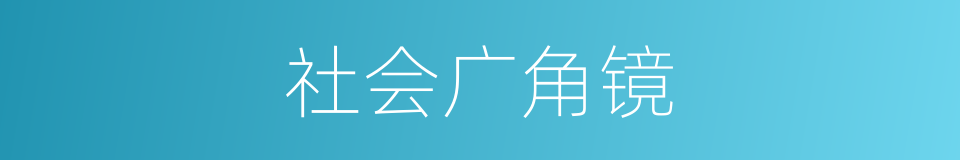 社会广角镜的同义词