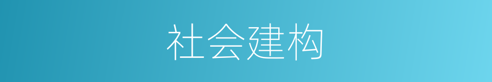 社会建构的同义词