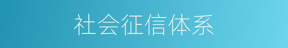 社会征信体系的同义词