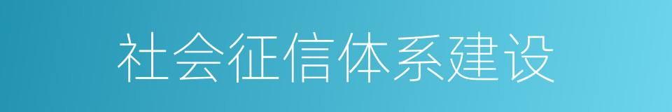 社会征信体系建设的同义词
