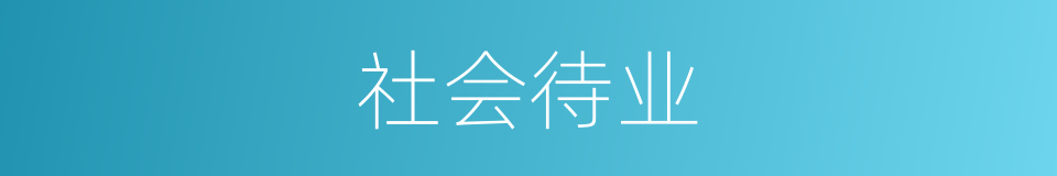社会待业的同义词