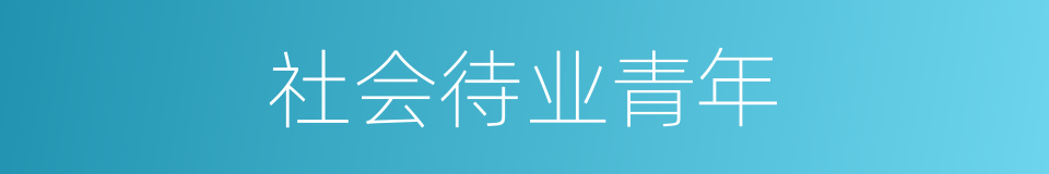 社会待业青年的同义词