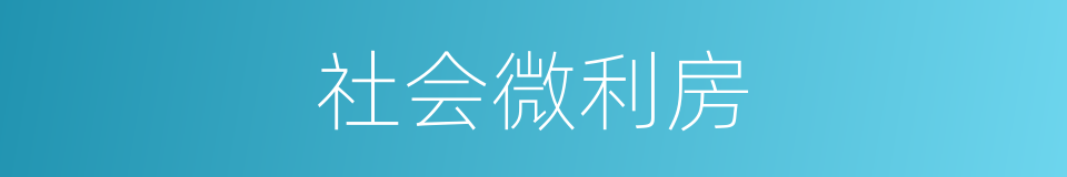 社会微利房的同义词