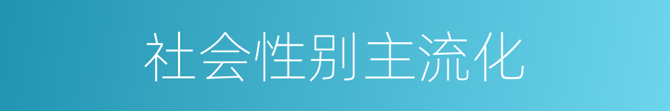 社会性别主流化的同义词