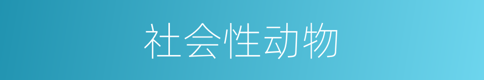 社会性动物的同义词