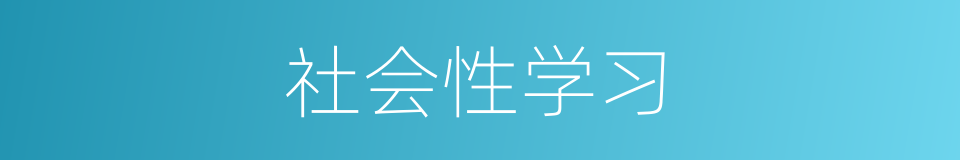 社会性学习的同义词