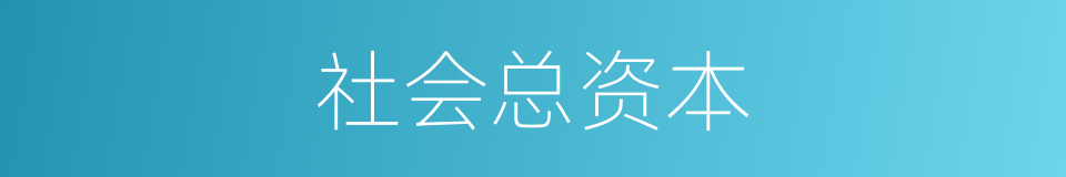 社会总资本的同义词