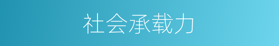 社会承载力的同义词