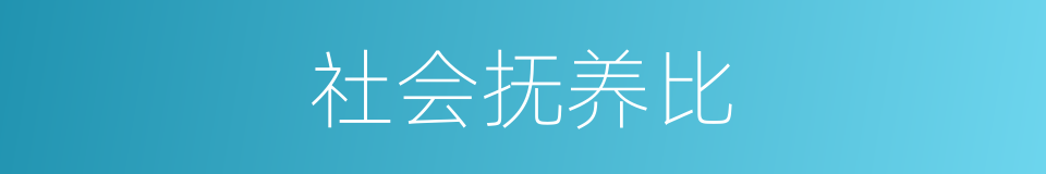 社会抚养比的同义词