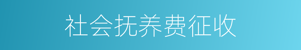 社会抚养费征收的同义词