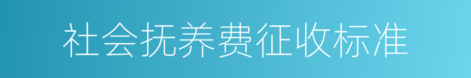 社会抚养费征收标准的同义词