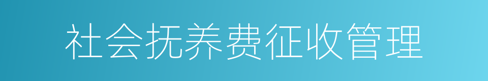 社会抚养费征收管理的同义词