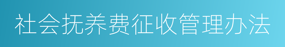 社会抚养费征收管理办法的意思