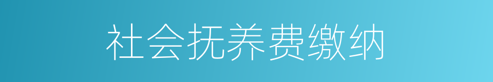 社会抚养费缴纳的同义词