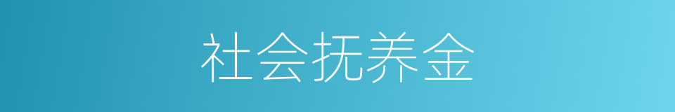 社会抚养金的同义词